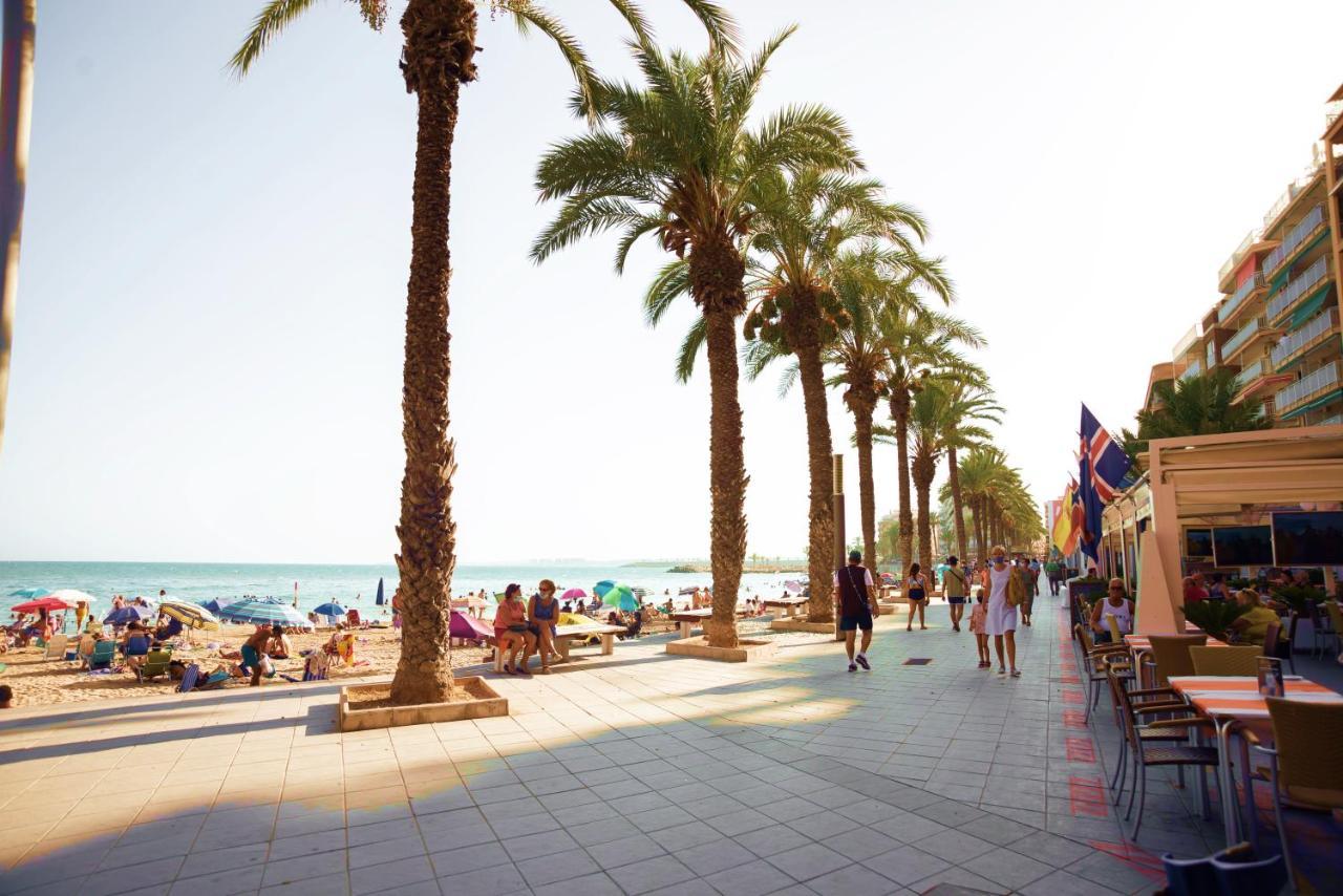 Holiday Studio Jardin Playa Torrevieja Zewnętrze zdjęcie
